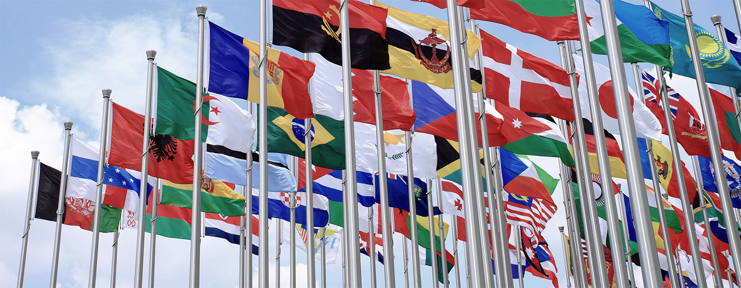 Flags of different countries.